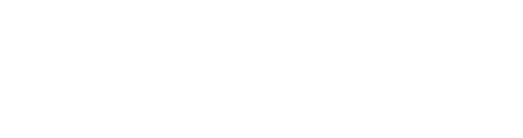 +F 充電/LANステーション